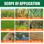 Herbicide combo effective for managing alligator weed in agricultural fields and moist areas.