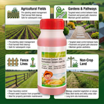 Liquid glyphosate herbicide suitable for farms, gardens, pathways, fence lines, and industrial weed management.