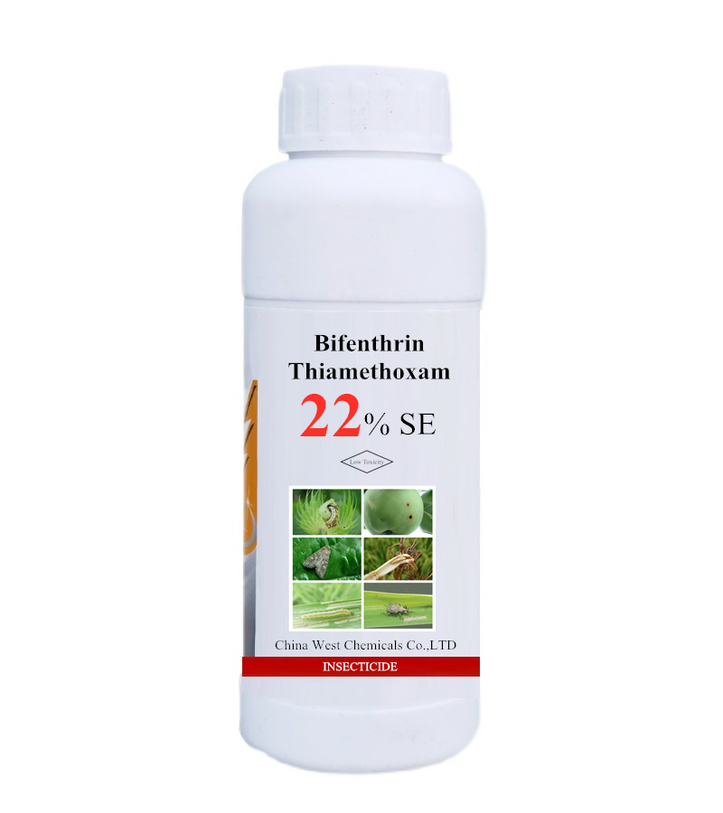 Bifenthrin and Thiamethoxam pesticide for pest control on vegetables