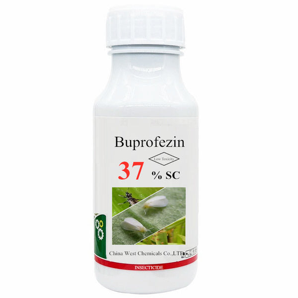 Buprofezin 37% SC insecticide for controlling rice planthoppers and fruit scale insects