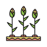 Crop Specific Guides