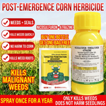 Mesotrione 6% + Nicosulfuron 4% + Atrazine 26% OD Herbicide for Weed Control in Agricultural Crops