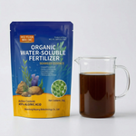 Seaweed Extract Fertilizer with 45% Alginic Acid for Root Development and Plant Growth