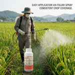Chlorantraniliprole 200 g/L Insecticide for Broad-Spectrum Pest Control in Fruits and Vegetables