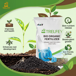 Slow Release Microbial Biofertilizer with High Organic Matter for Mango and Citrus Tree Growth and Soil Health