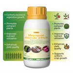 Mepiquat Chloride Plant Growth Regulator (PGR) for Crop Growth Control and Yield Improvement