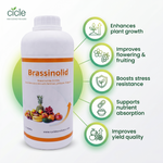 Brassinosteroids Plant Growth Regulator (Brassinolide) for Enhanced Plant Growth and Yield
