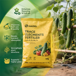 Water-Soluble Seaweed-Based Micronutrient Foliar Fertilizer Powder for Plant Growth