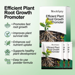 Rooting Powder Fertilizer for Horticultural Plants and Flower Growth