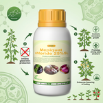 Mepiquat Chloride Plant Growth Regulator (PGR) for Crop Growth Control and Yield Improvement