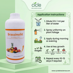 Brassinosteroids Plant Growth Regulator (Brassinolide) for Enhanced Plant Growth and Yield