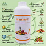 Brassinosteroids Plant Growth Regulator (Brassinolide) for Enhanced Plant Growth and Yield