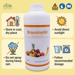 Brassinosteroids Plant Growth Regulator (Brassinolide) for Enhanced Plant Growth and Yield