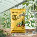 Water-Soluble Seaweed-Based Micronutrient Foliar Fertilizer Powder for Plant Growth