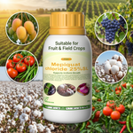 Mepiquat Chloride Plant Growth Regulator (PGR) for Crop Growth Control and Yield Improvement