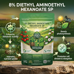 Diethyl Aminoethyl Hexanoate (DA-6) Plant Growth Regulator for Enhanced Plant Growth and Yield