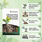 Rooting Powder Fertilizer for Horticultural Plants and Flower Growth