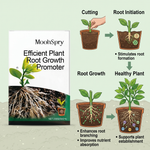 Rooting Powder Fertilizer for Horticultural Plants and Flower Growth