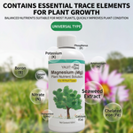 Liquid fertilizer for plant recovery and green foliage