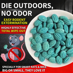 rat poison bait placed in bait station for home garden rodent control