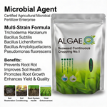 Microbial agent for root protection and plant growth