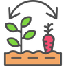 Organic Farming