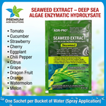 Water soluble seaweed amino acid fertilizer for crops